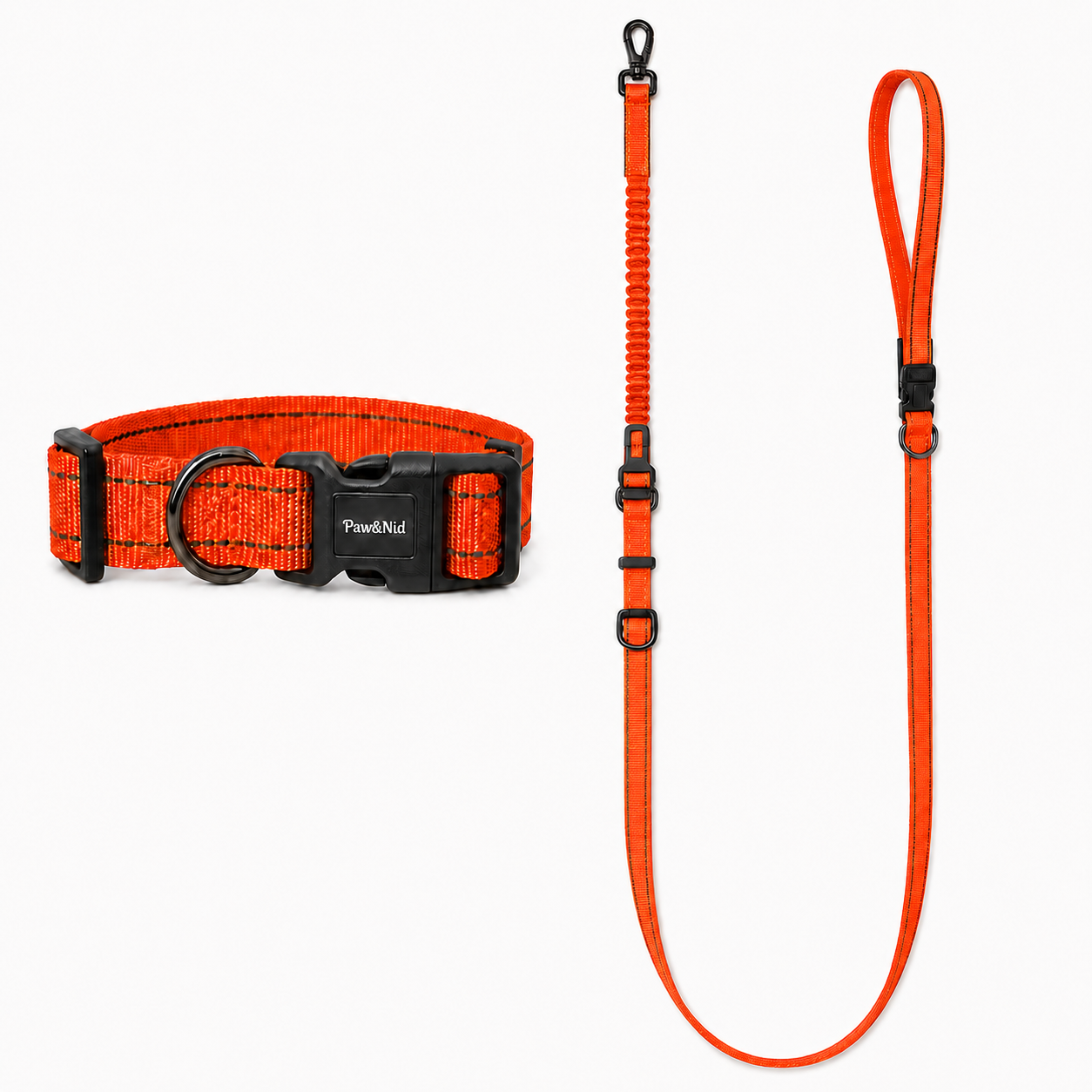 Ensemble collier et laisse anti-traction pour chien – Réfléchissant