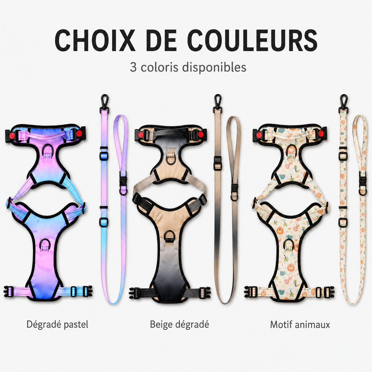 Ensemble harnais et laisse réglable pour chien