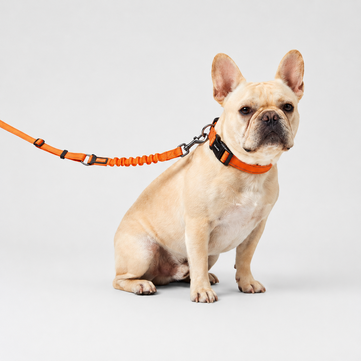 Laisse pour chien avec double poignée et amortisseur élastique – Réglable, réfléchissante et attache de sécurité pour voiture
