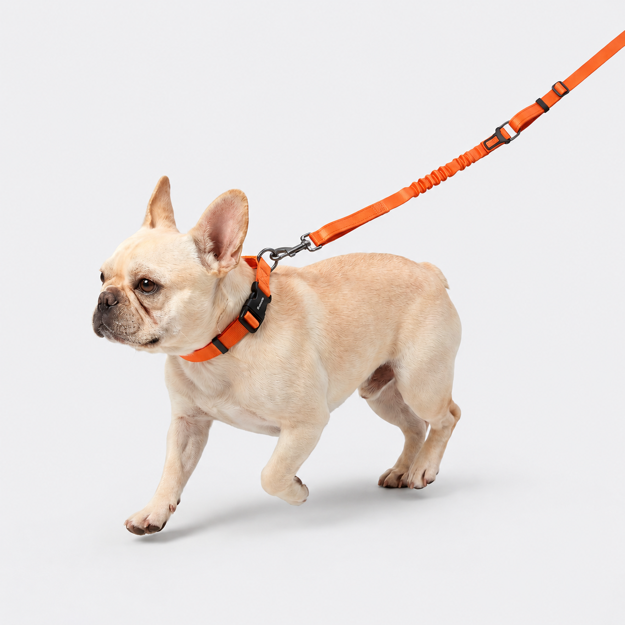 Laisse pour chien avec double poignée et amortisseur élastique – Réglable, réfléchissante et attache de sécurité pour voiture