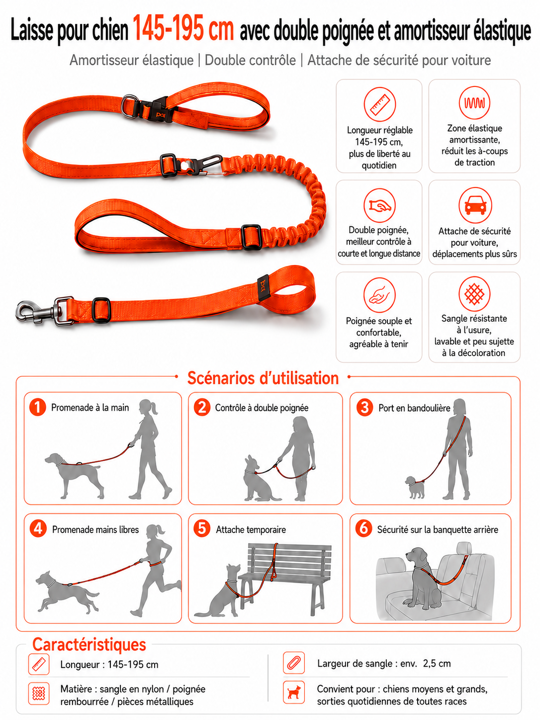 Laisse pour chien avec double poignée et amortisseur élastique – Réglable, réfléchissante et attache de sécurité pour voiture